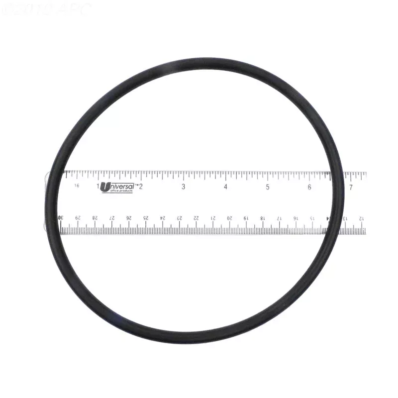 SPX3000S PUMP LID O-RING