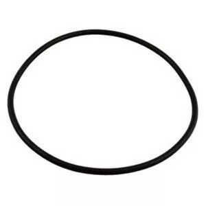 Sta-Rite 25230-0010S Posi-Flo II Top Tank O-Ring