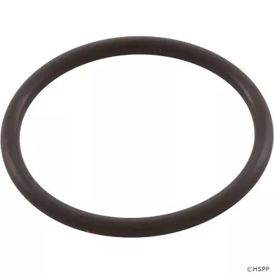 Sta-Rite 35505-1429 System 3 Bulkhead Elbow Small O-Ring