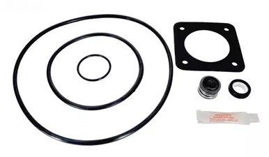 Sta-Rite Dura-Glas & Max-E-Glas Seal Kit 1998- Present