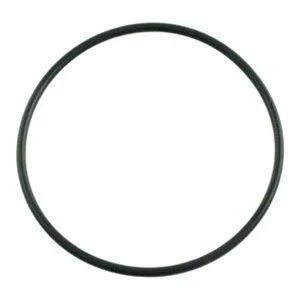 Sta-Rite Max-E-Glas / Dura-Glas Lid O-Ring U9-229 - Generic