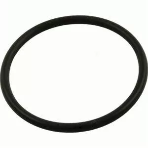 Sta-Rite U9-226 Max-E-Glas / Dura-Glas Diffuser O-Ring