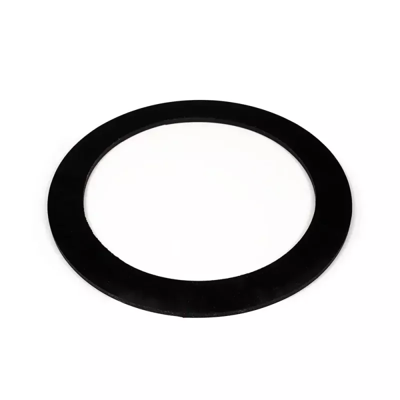 SW/SWX RSW Strainer Flat Gasket for 6 Inch Strainers – Pre 2009