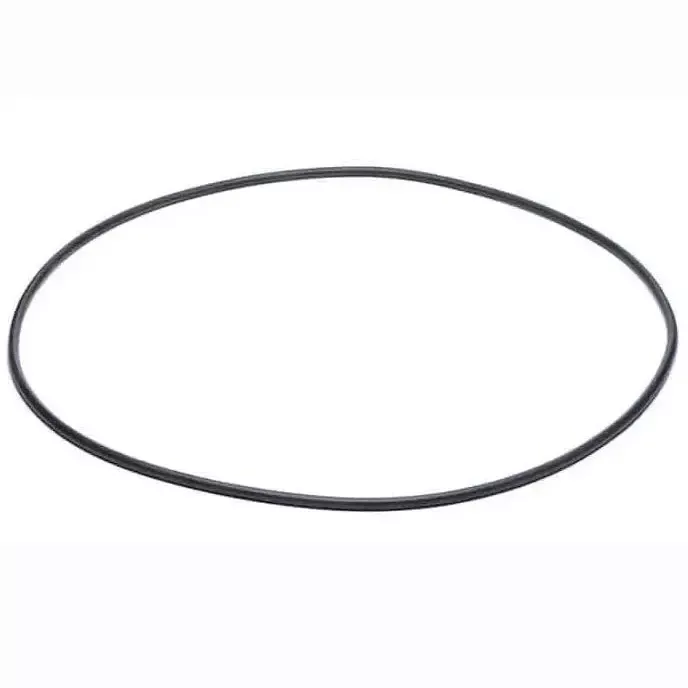Voyager Body O-Ring