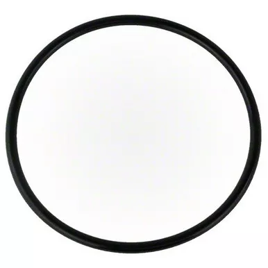 Waterway 805-0436 Pump Lid O-Ring