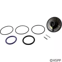 Zodiac/Jandy/Laars Rebuild Kit – R0442100