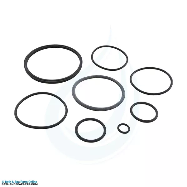 Zodiac Nature2 Fusion O-Ring Kit | R0502500